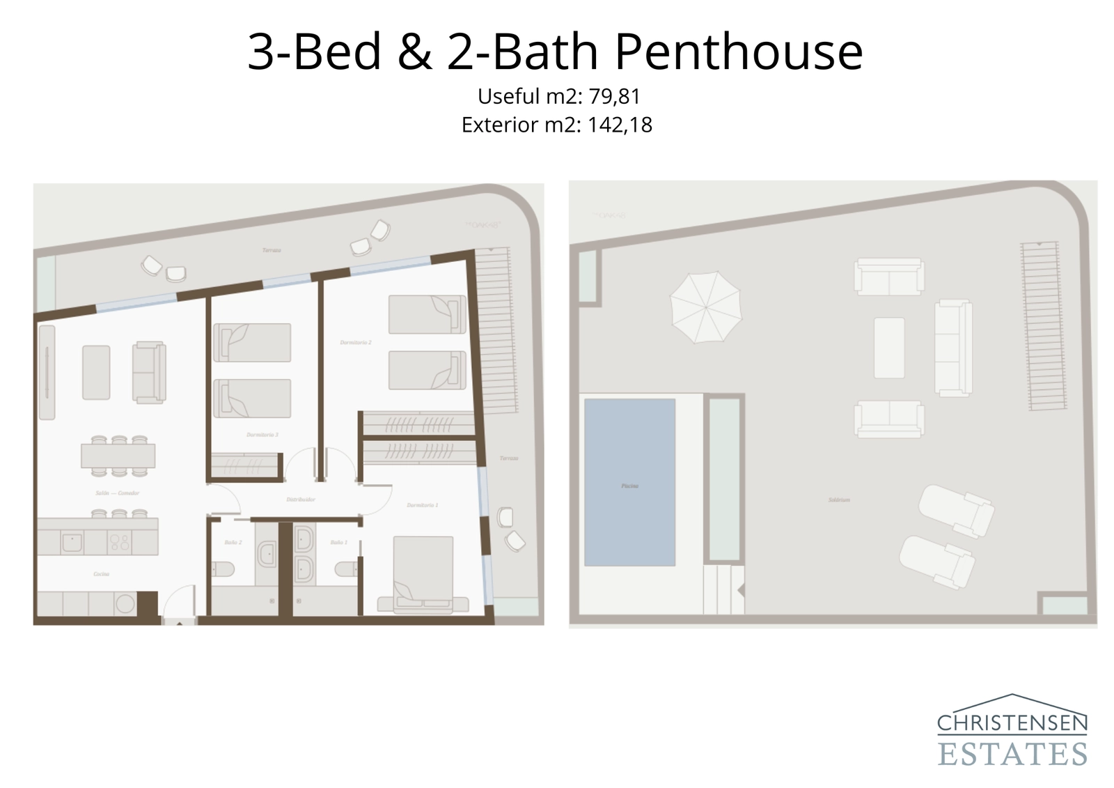 Deze uitgebreide plattegrond van het penthouse met drie slaapkamers beschikt over een groot privédakterras en zwembad, wat zorgt voor een uitzonderlijke woonervaring.